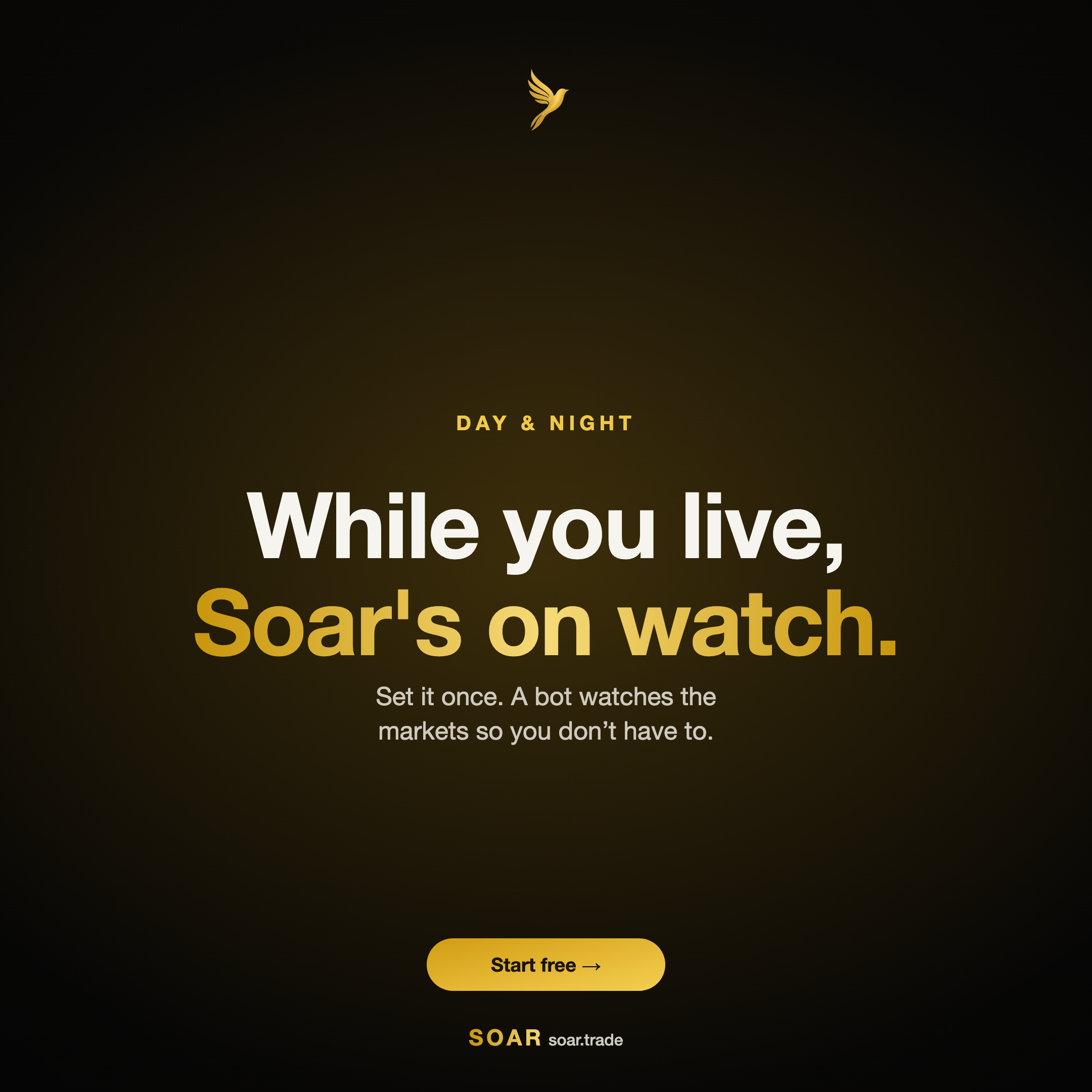 Ad Daynight.Png
